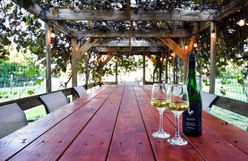 Boyce Casa | Hot Tub - Fire Pit - Fast Wi-Fi - Pet Friendly - Wine Country Escape
