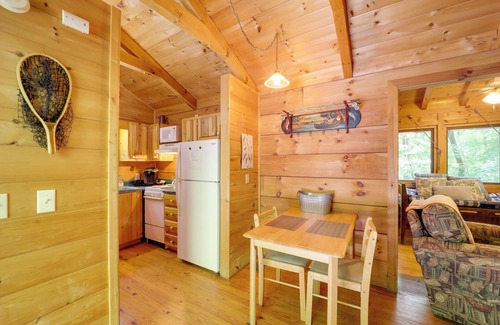Vein Mountain Cabina | Hot Tub & On-Site Trails: Secluded Marion Cabin
