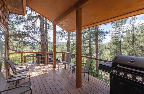 Pagosa Springs Cabina | New Listing! Hot tub, secluded, borders national forest, New AC installed