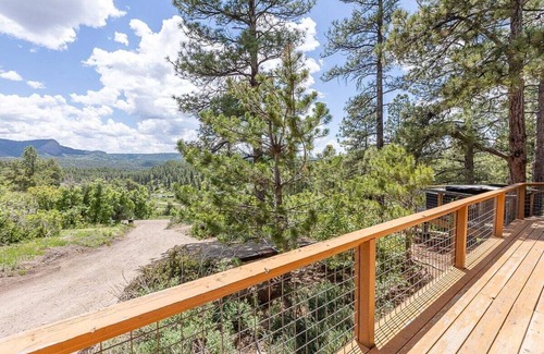 Pagosa Springs Cabina | New Listing! Hot tub, secluded, borders national forest, New AC installed