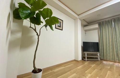 Iwamotocho Apartamento | Hotaku House Akihabara #HO1