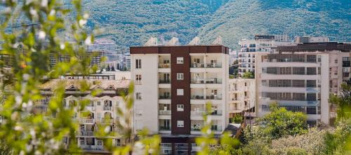 Velji Vinogradi Hotel | Hotel 219 Budva
