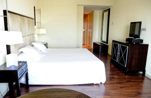 Los Alcázares Hotel | Hotel 525