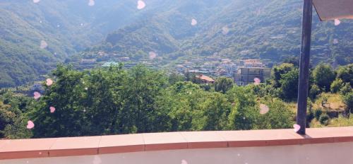 Pucara Casa | Hotel affittacamere novella