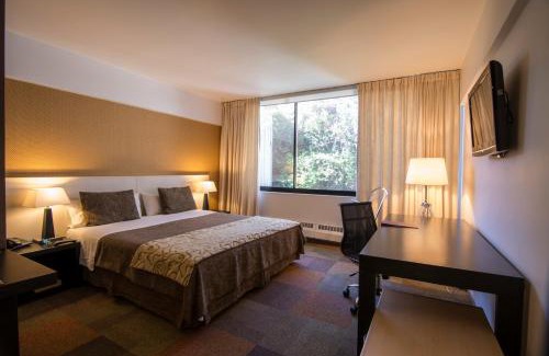 Concepcion Hotel | Hotel Alborada