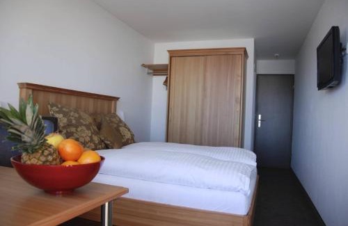 Fiesch Casa | Hotel Alpina