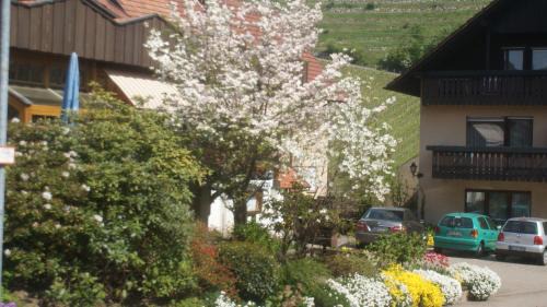 Steinbach Hotel | Hotel Altenberg