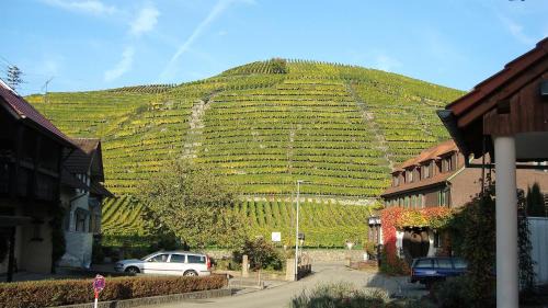Steinbach Hotel | Hotel Altenberg