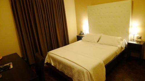 Centro Hotel | Hotel Alvear