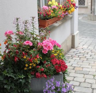Innenstadt Hotel | Hotel am Rathaus