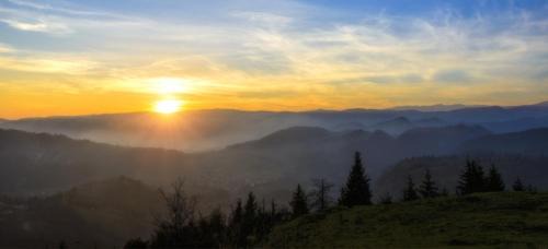 Schoenwald Hotel | Hotel an der Sonne & Restaurant Zum Schneiger