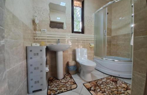 Palyanytsya Hotel | Hotel & Apartments G S