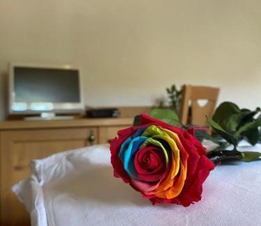 Ovaro Hotel | Hotel Aplis