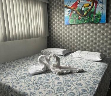 Presidente Vargas Hotel | Hotel Araras - Centro de Manaus