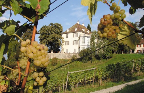 Mannenbach Hotel | Hotel Arenenberg