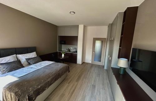 Hradec Kralove Apartamento | Hotel Awam