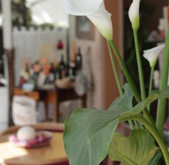 Miramare Hotel | Hotel b&b Villa Irma