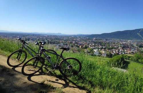 Maribor Hotel | Hotel Bau Maribor