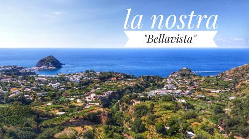 Succhivo Hotel | Hotel Bellavista