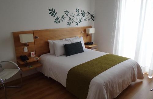 Chico Hotel | Hotel bh Parque 93
