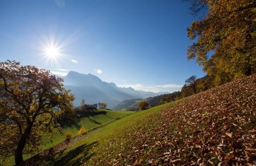 Albions Hotel | Hotel Bischofhof