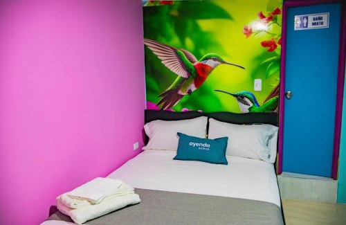 Ibague Hotel | Hotel Boutique Copiclub