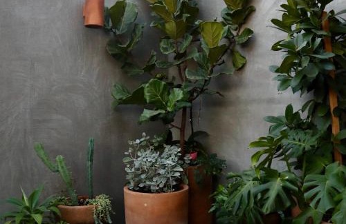 Guadalajara Hotel | Hotel Boutique Sina