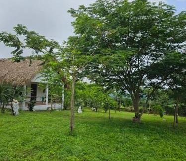 Tanchachín Otro | Hotel - CABAÑAS THAJU - HUASTECA POTOSINA