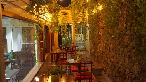 San Pedro Sula Hotel | Hotel Casa del Arbol