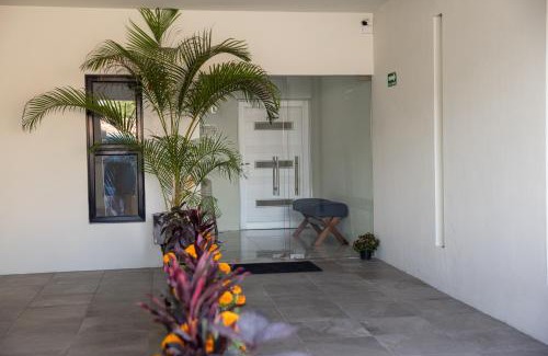 Tequila Hotel | Hotel Casa Jima Agave