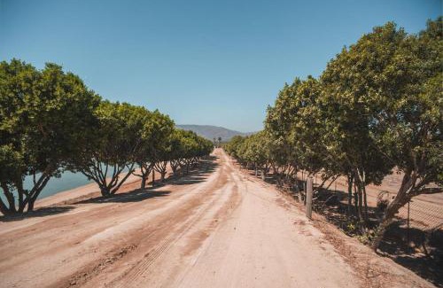 Valle de Guadalupe Hotel | Hotel Castillo Ferrer