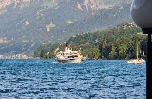Faulensee Hotel | Hotel Chalet Bellerive