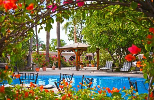 Navojoa Hotel | Hotel Del Rio
