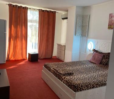 Voluntari Hotel | Hotel Diro
