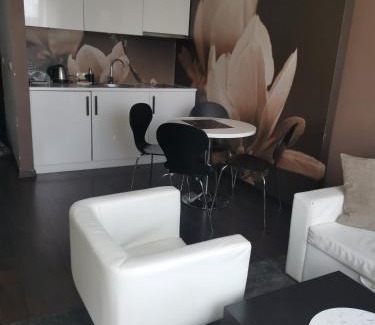 Dzielnica Uzdrowiskowa Apartamento | Hotel Diva 2-pokojowy prywatny apartament