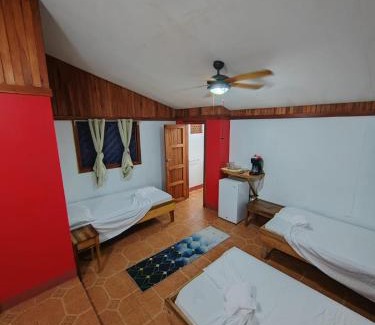 Tortuguero Casa | Hotel Don Quichotte