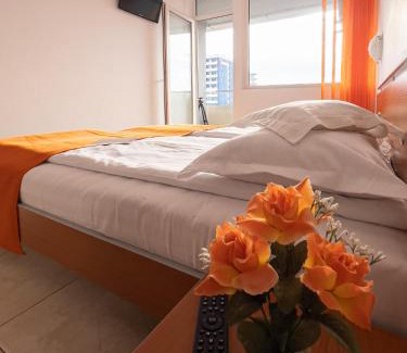 Constanta Hotel | HOTEL DUNĂREA