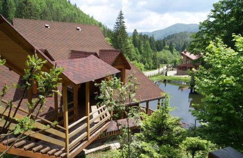 Palyanytsya Hotel | Hotel Dykyi Med