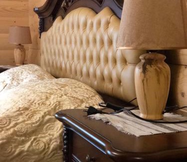 Palyanytsya Hotel | Hotel Dykyi Med