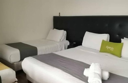 Quinta Paredes Hotel | HOTEL ECOFERIA BOUTIQUE