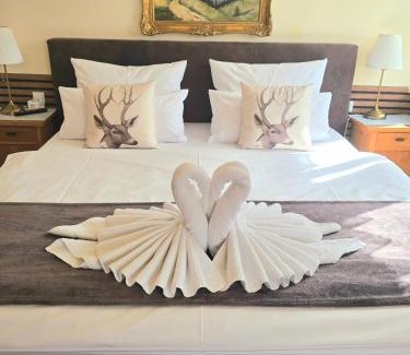 Braunlage Hotel | Hotel Elisabeth Ilse