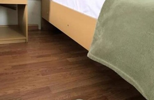 Bras Hotel | Hotel Family