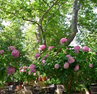 Portaria Hotel | Hotel Filoxenia