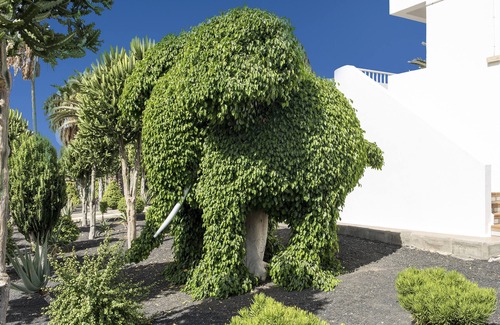 Los Pocillos Apartamento | Hotel Floresta