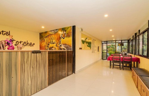 Sauraha Hotel | Hotel Flycatcher