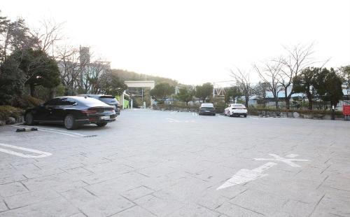 Jinhae-daero Hotel | Hotel Foma