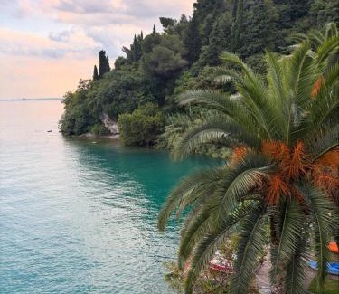 Tignale Hotel | Hotel Forbisicle