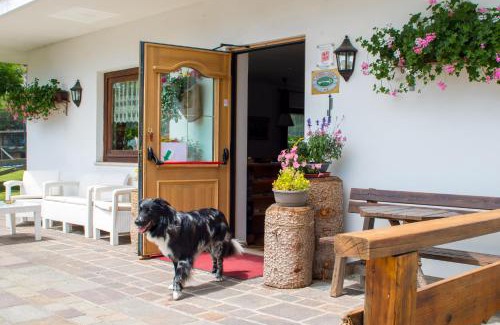 Pera Cama Y Desayuno | Hotel Garnì Rosengarten