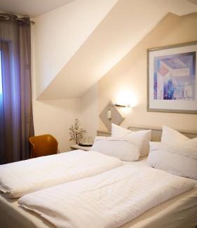 Hoehr-Grenzhausen Hotel | Hotel Garni Zur Traube