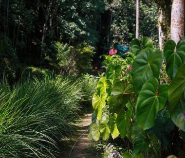 Teresopolis Cabina | Hotel Gaura Mandir